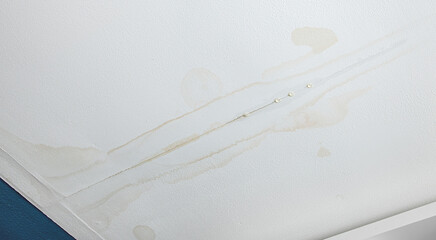 Water is leaking from drywall ceiling in home room, water damage. Water dripping from crack.