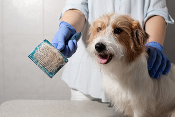 Dog coat maintenance in progress