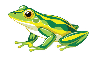 Obraz premium frog on white background