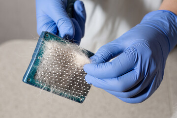 Brush full of dog hair in gloved hand