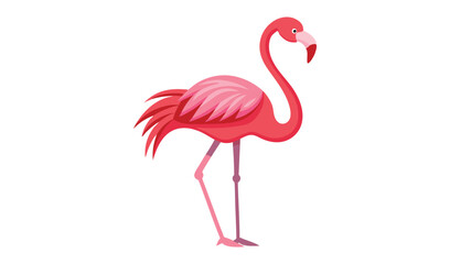 Fototapeta premium Pink flamingo bird vector illustration graphic