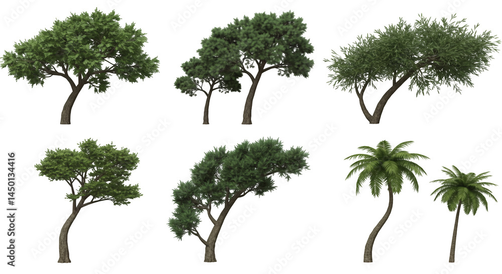 Poster six trees with green foliage isolated on transparent background for design elements and landscaping 