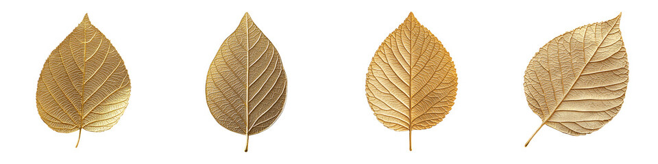 Elegant golden leaves in autumn