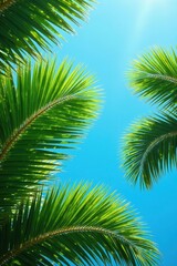 Fototapeta premium Palm fronds reaching skyward, vibrant green against blue , perspective, palm tree