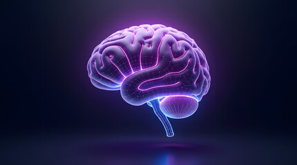 A glowing, purple digital brain illustration showcasing intricate neural connections.