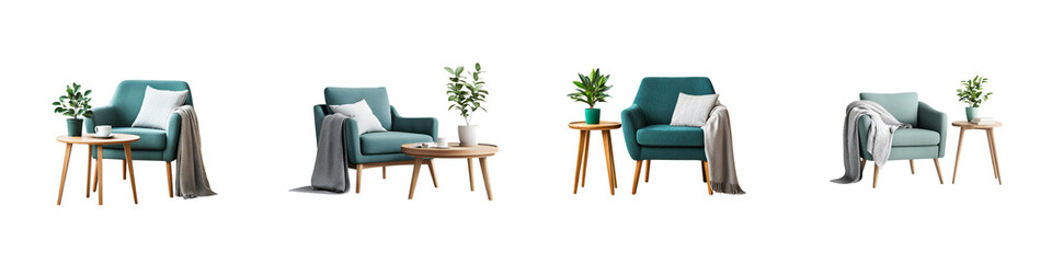 Cozy modern interior with comfortable furniture and houseplants.