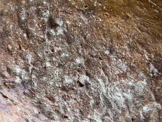 High-resolution image of rustic bread crust. Perfect for bakery websites, food blogs, and culinary projects.