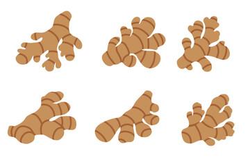 ginger vectorlogo Isolated on white background.	