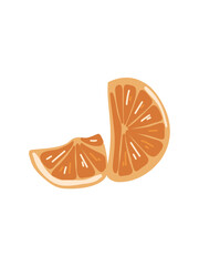 orange slices vector in cartoon style