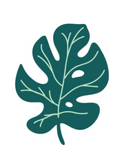 monstera leaf vector