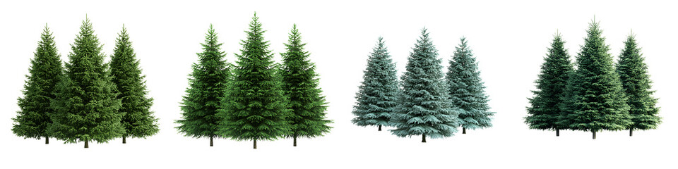 Fototapeta premium A majestic forest of pine and evergreen trees in winter