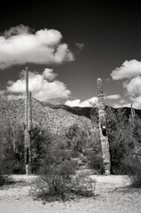 San Tan Mountains Sonora Desert Arizona Monochrome