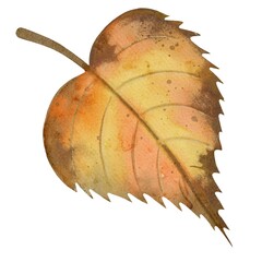 Watercolor autumn leaf design for textile patterns and packaging