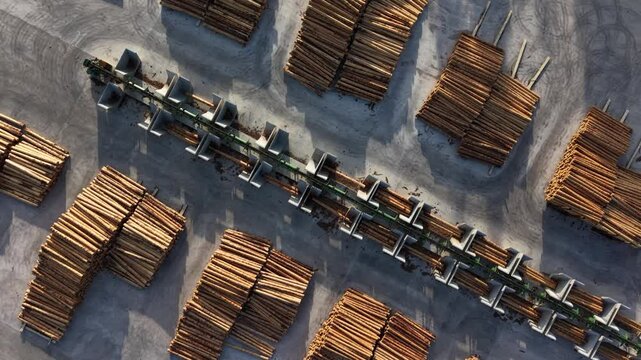 Aerial view of sorted timber logs at a lumber yard with metal dividers and concrete surface, illustrating industrial forestry and wood processing operations.