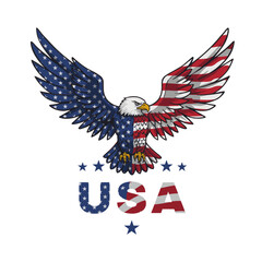 Fireworks and Patriotism: The Spirit of Independence