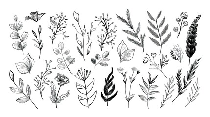 Hand-drawn Line Elements Illustration Materials on White Background: Artistic, Engaging, and Visually Appealing for Creative Projects