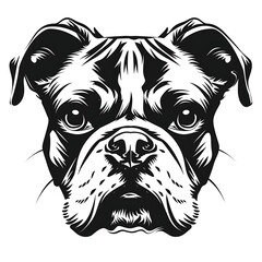 Black and White Bulldog Head Illustration