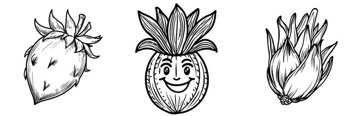 Modern biennial vegetable with low raw root and turnip-shaped stem, a type of german cabbage also known as kohlrabi, often eaten as vegetarian food