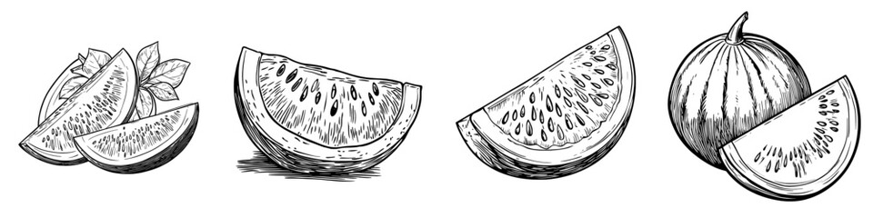 An isolated sketch features a ripe striped watermelon and a piece of fruit