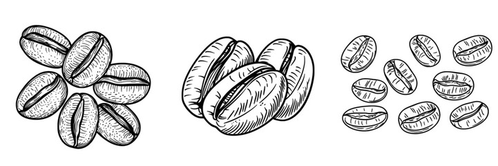 Isolated aromatic brown beans from roasted coffee seeds make up modern aromatic grains used in espresso ingredients