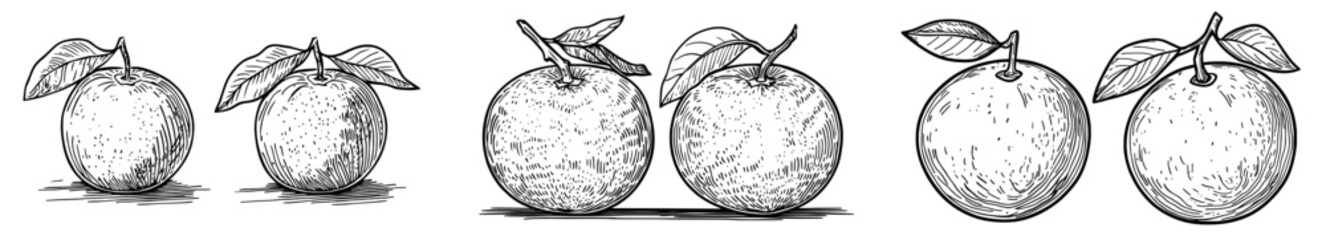 The cartoon depiction of tangerines or mandarins symbolizes Chinese New Year, a celebration tied to the lunar calendar, where whole citrus fruits like fresh mandarins and ripe tangerines are