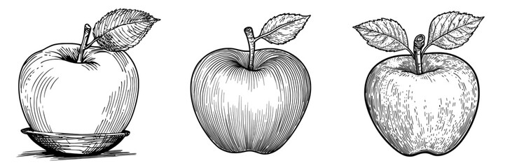 Autumn or summer fruit sketch of an apple with a leaf, isolated, representing modern vegetarian dieting food