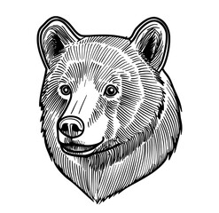 A bear's head is depicted in profile as a black silhouette, highlighting its unique characteristics through minimalist design