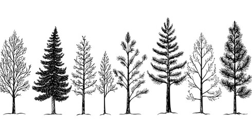 Obraz premium This graphic design features a range of tree silhouettes in black and white, highlighting various species