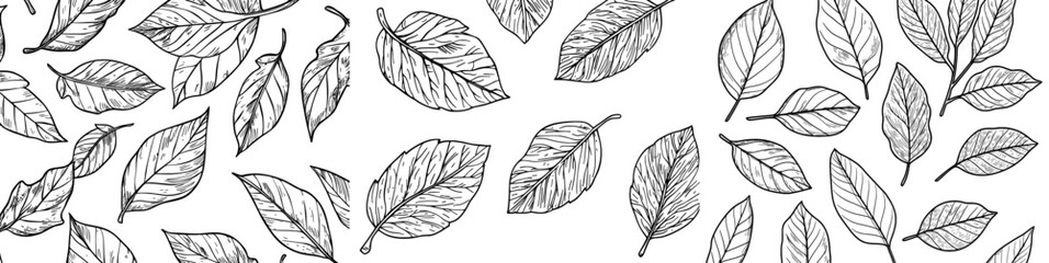 The design features a chic black and white color scheme with a variety of leaf patterns repeated throughout