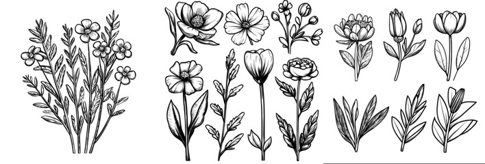 A gathering of black shape botanicals and foliage for design and aesthetic applications