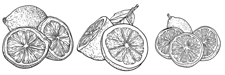 Modern isolated icons include lemon dried fruits, dry food snacks, and fruit sweets, which are made from dried lemon slices, a culinary and sweet dessert fruity ingredient used in natural organic