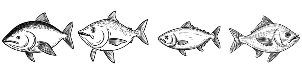 The atlantic bluefin tuna is depicted in an isolated saltwater fish sketch as a modern saltwater animal