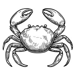 Modern graphic design often features a cartoon crab, characterized as a marine crustacean with claws, found in the underwater sea as an isolated wild ocean creature
