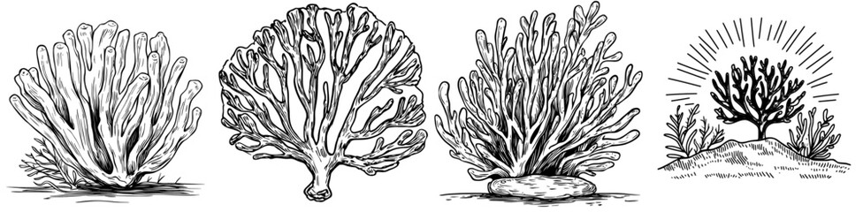 A modern, isolated sea reef object featuring a cartoon underwater coral plant branch with outgrowths, symbolizing undersea tropical water life and ocean coral marine flora as a biodiversity design