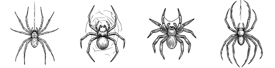 The icon of a spider on a net represents a modern Halloween holiday object, symbolizing a poisonous insect like the black widow