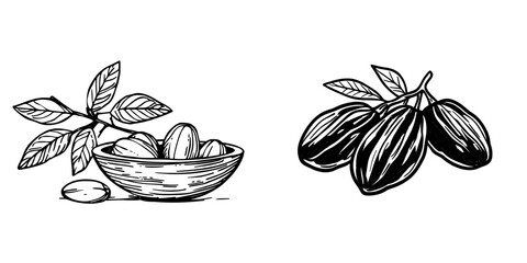 Damson fruit or date dried fruits isolated sketch’ is a representation of modern sugared vegetarian food snack dessert