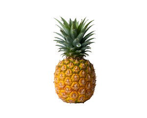 Fototapeta premium pineapple isolated on white