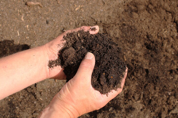 Terreau dans les mains