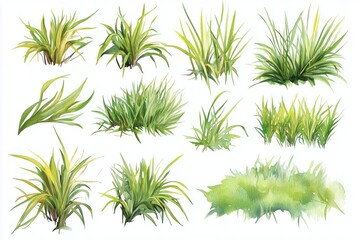 Set of watercolor grass patches and lawn textures, isolated on white background, elements for ground cover illustrations