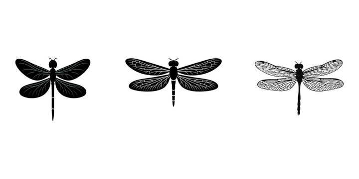 vector black silhouette of dragonfly insect, A black and white drawing of a dragonfly. The dragonfly is laying on its side and has its wings spread out, set of silhouettes of dragonfly, Dragon Fly.