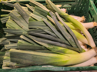 Fresh leeks in green plastic crate