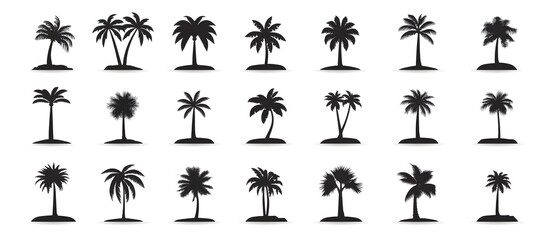 A collection of palm trees in various sizes and shapes