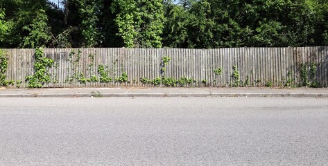 Wooden fence dividing street from woodland. Trees and plants on behind. Concrete sidewalk and road in front. Background for copy space.