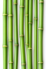 Fototapeta premium A close-up view of several green bamboo stalks arranged vertically against a white background