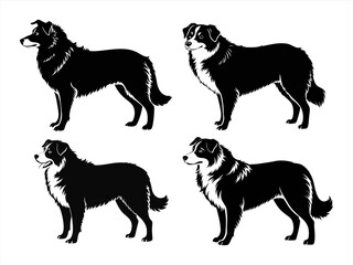 australian shepherd sihouette black vector bundle