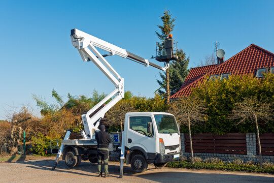 Arborist Cutting Tall Spruce Tree with Chainsaw from Elevated Platform Truck in Residential Area on Sunny Day