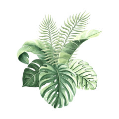 Watercolor tropical palm leaves isolated illustration for summer rainforest designs. Hand drawn green monstera and jungle plants in realistic botanical style. Clipart of lush foliage exotic plants.