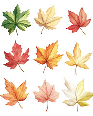 Fototapeta premium Highly detailed illustrations of various trees, leaves, grasses, and botanical elements, featuring realistic, minimalist, and abstract compositions on a white background.