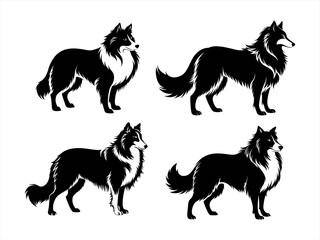 collie sihouette black vector bundle