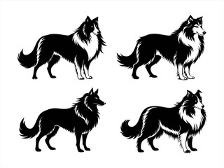 collie sihouette black vector bundle